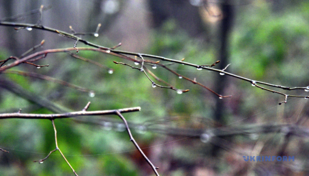 Синоптикиня розповіла, якою буде погода на Великдень