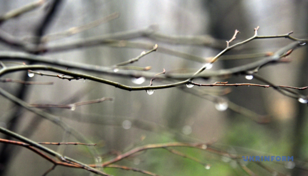 В Україні у вівторок незначне похолодання, подекуди дощі