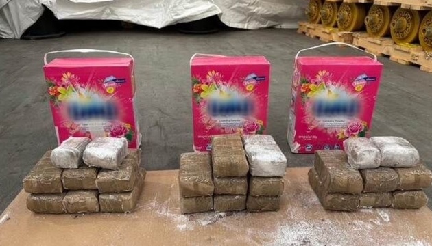 У Нідерландах митники виявили партію гашишу в пральному порошку