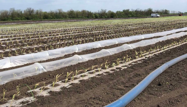 В Україні загальна площа зрошуваних земель перевищила 40 тисяч гектарів
