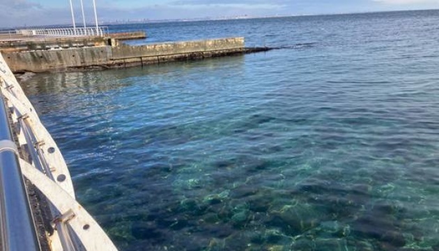 Odesa coastline being cleaned of oil spilled into sea after Russian attack