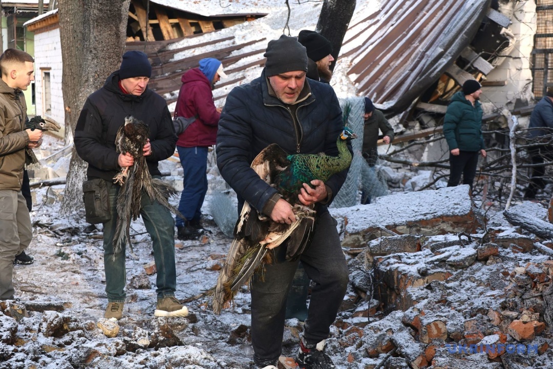 Фото: В’ячеслав Мадієвський