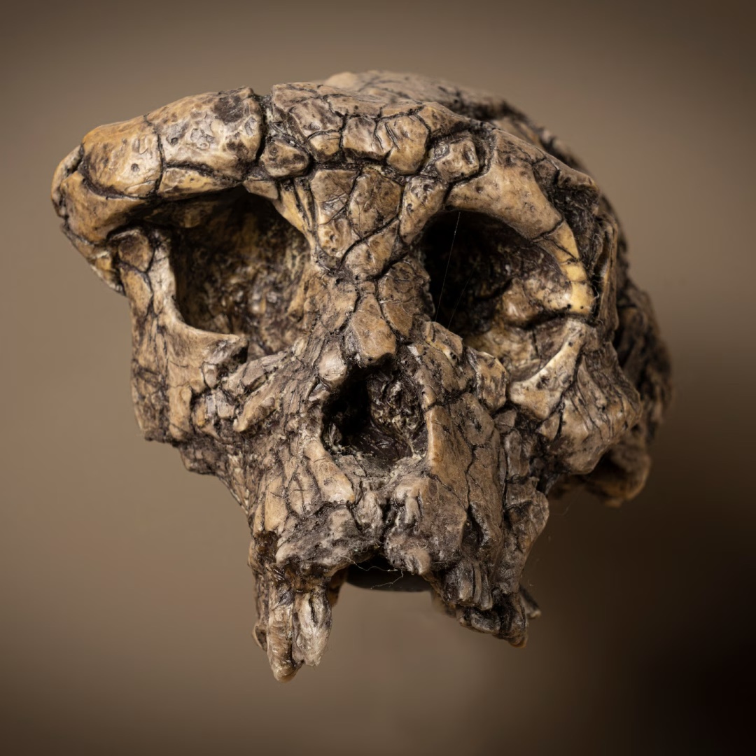 Фото: Philippe Psaila/Science Source