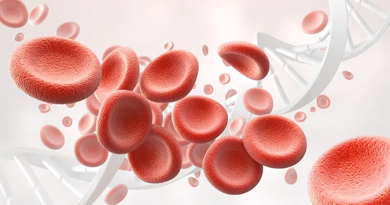 Фото: stock.adobe.com