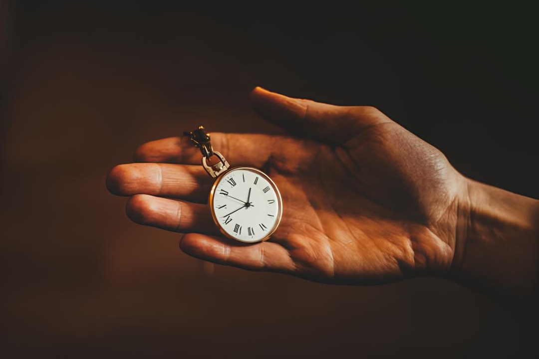 Фото: stock.adobe.com