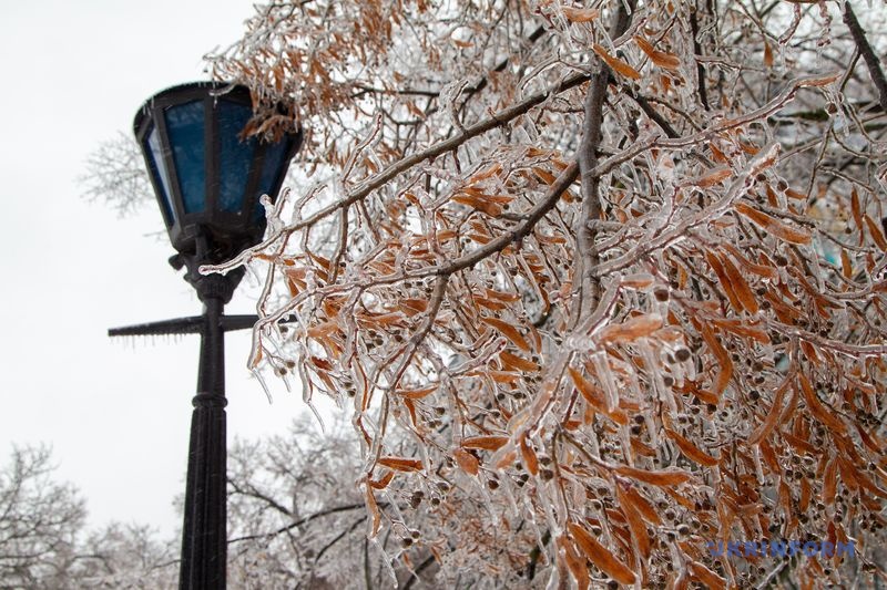 Фото: Кирило Чуботін