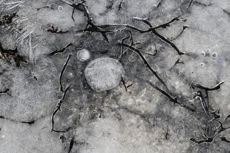 Фото: Дмитро Смольєнко