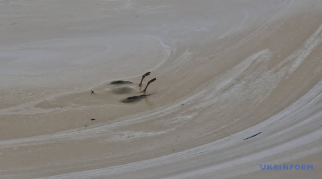 Наслідки розливу олії в порту «Південний». Фото Ніна Ляшенок, Укрінформ