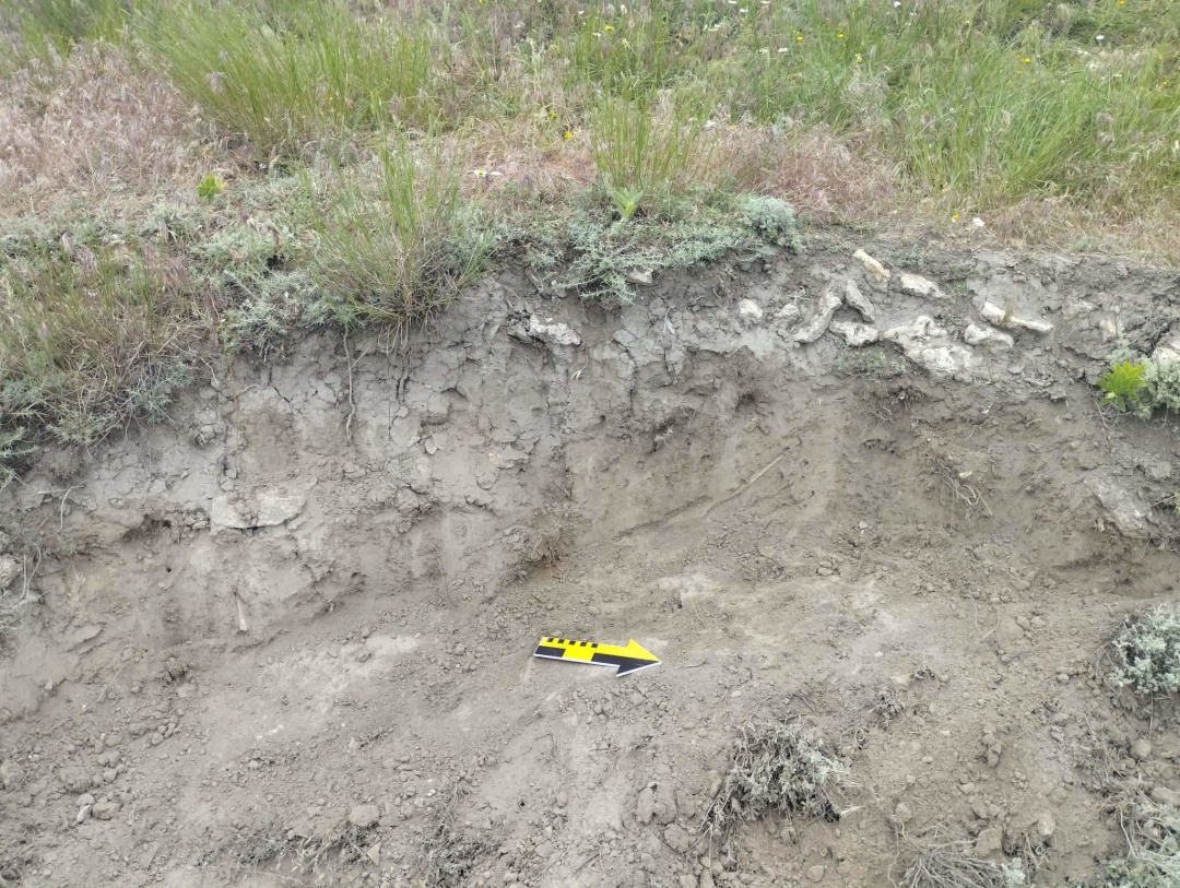 Козирське городище