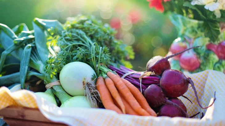 Фото: pixabay.com