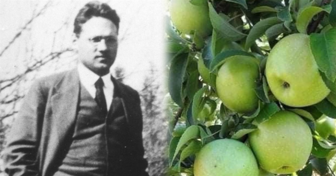 Володимир Симиренко