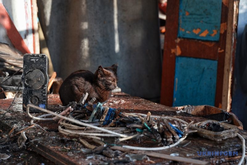 Фото: Ніна Ляшонок