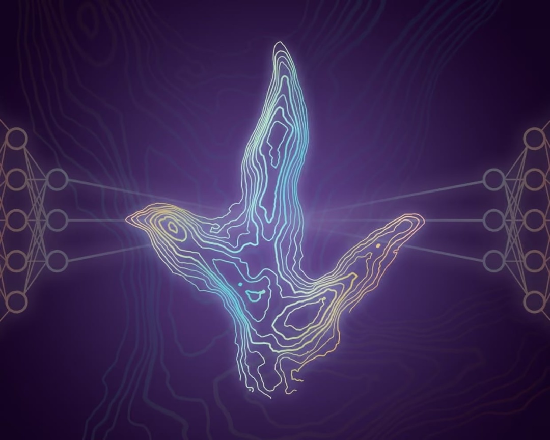 Фото: Tone Blakesley.