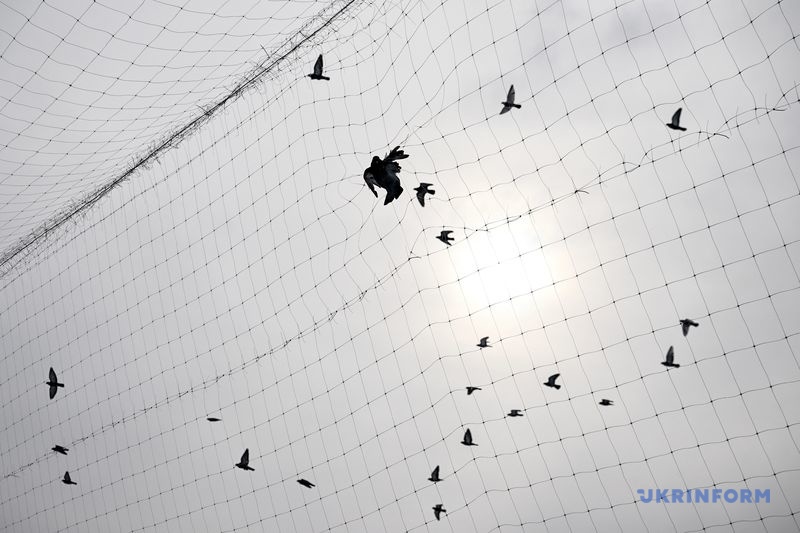 Фото: Дмитро Смольєнко