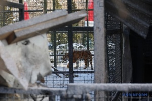 Зоозахисники звинувачують засновника Фельдман Екопарку у жорстокому поводженні з тваринами