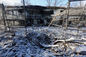 Росіяни скинули КАБ на екопарк під Харковом: поранена волонтерка, є загиблі птахи