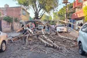 Потужний землетрус у Мексиці: двоє загиблих і 12 постраждалих