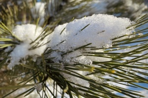 На Водохреще в Україні очікується сніг, у деяких областях - із дощем