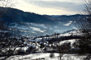 Сніг, який приносить гроші