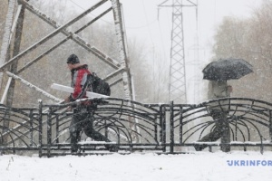 Bad weather in Ukraine: Government proposes switching to remote learning and work