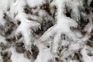 В Україні у четвер - сніг і мороз, уночі до -23°