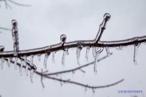 На Тернопільщині з початку року від переохолодження загинули семеро людей