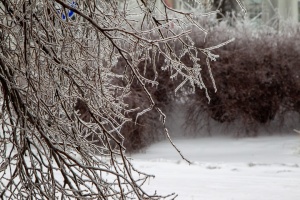 У неділю в Україні - хмарно і невеликий сніг, удень до 12° морозу