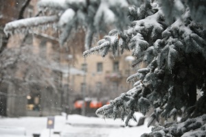 Україні на початок тижня прогнозують сніг, хуртовину та дощ