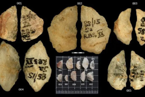 Археологи виявили найдавніше використання людьми зброї з отрутою