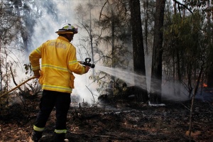 В Австралії вирують лісові пожежі, десятки тисяч людей залишилися без світла