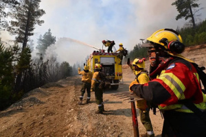 В Аргентині пожежі знищили майже 12 тисяч гектарів лісу