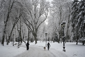П'ятниця в Україні буде зі снігом, дощем та ожеледицею