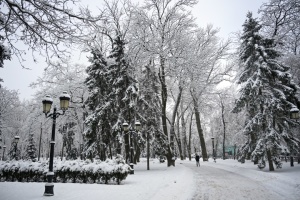 У більшості областей України завтра очікується сніг із дощем, на дорогах подекуди ожеледиця