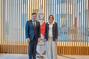 Лубінець запросив керівництво Міжнародного комітету Червоного Хреста приїхати в Україну