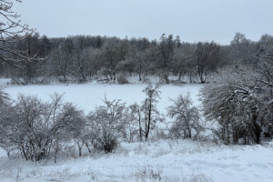 Україні на вихідних прогнозують зниження температури до 25° морозу