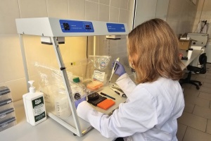 В Україні відкрили лабораторію для аналізу біологічних зразків, привезених з Антарктики