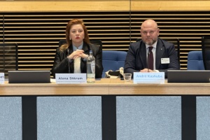 У Брюсселі презентували проєкт публічно-приватного партнерства у порту Чорноморськ