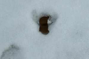 У Запорізькому районі виявили протипіхотні міни, якими росіяни дистанційно мінують території