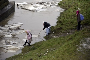 На Закарпатті почався льодохід на річках - ДСНС моніторить ситуацію