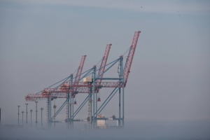 Аграрії закликали відкрити імпорт вапняково-аміачної селітри через морські порти