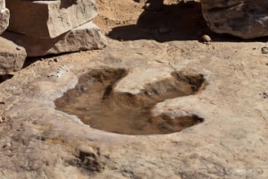 Паливо з диму, «Shazam» для динозаврів і український ШІ-робот, що бере окупантів у полон  