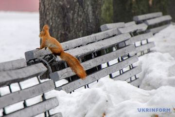 В Україні на вихідні прогнозують різке потепління і сніг з дощем