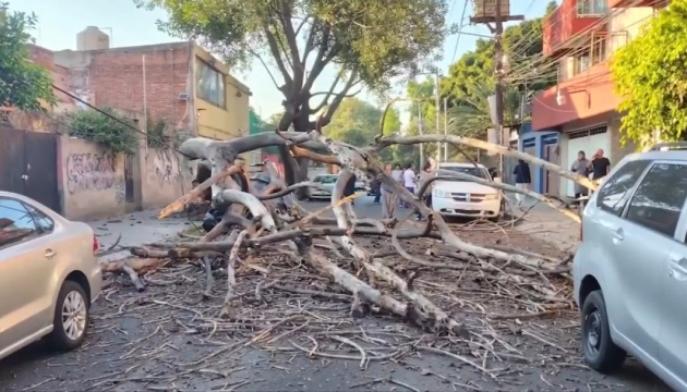 Потужний землетрус у Мексиці: двоє загиблих і 12 постраждалих