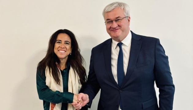 Сибіга обговорив із державною міністеркою ОАЕ допомогу українській енергетиці