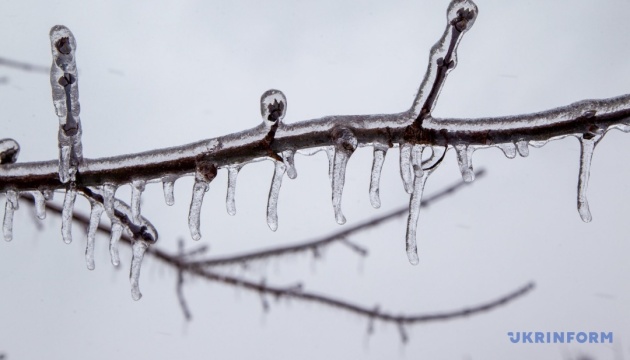 На Тернопільщині з початку року від переохолодження загинули семеро людей