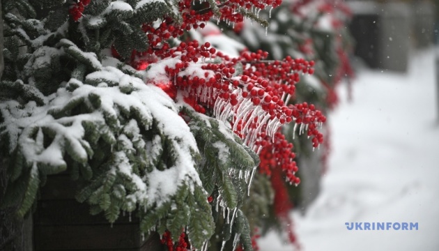 В Україні на вихідні прогнозують сильні морози та снігопади