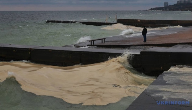 Олія і вогонь війни: чим небезпечні розливи олії у Дніпрі та Одесі