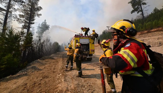 В Аргентині пожежі знищили майже 12 тисяч гектарів лісу