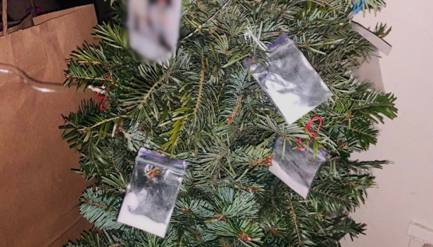 У Києві під час обшуку в іноземця виявили ялинку, прикрашену пакетиками з наркотиками