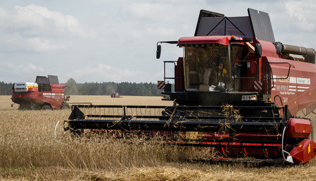 Білоруський агропром став середовищем корупції і небезпеки - розвідка